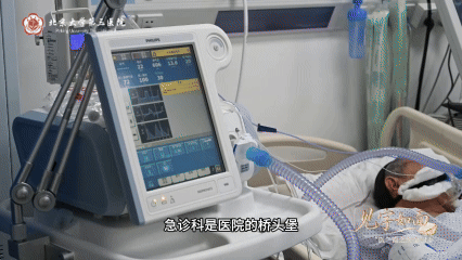 受访专家
