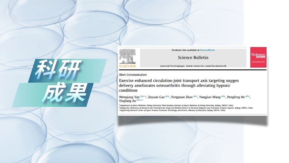 pg电子大平台