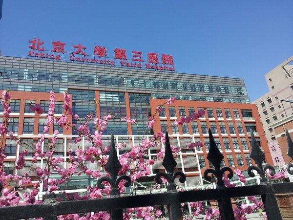 三院初雪（一）