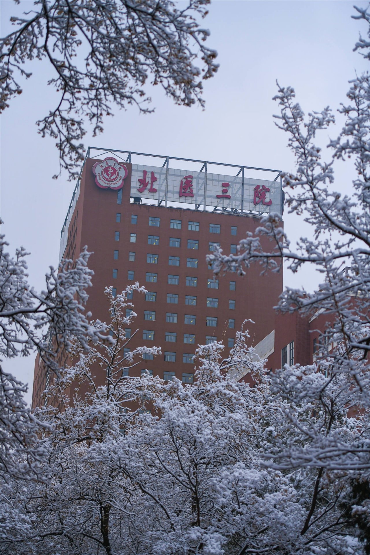 三院初雪（四）