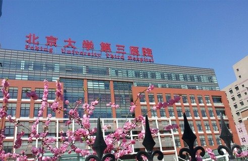 新奥门免费资料大全新牌门手机版下载概况